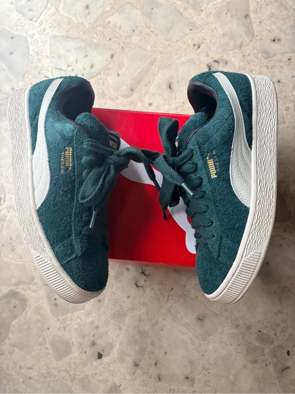 Puma brand model
